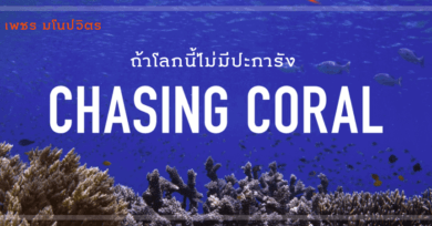 Chasing Coral ถ้าโลกนี้ไม่มีปะการัง นี่คือหนังที่ทุกคนที่รักทะเลและไม่เคยสนใจทะเลต้องดู