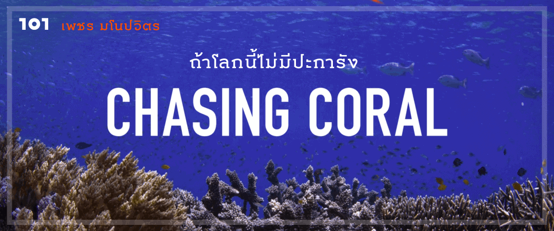 Chasing Coral ถ้าโลกนี้ไม่มีปะการัง นี่คือหนังที่ทุกคนที่รักทะเลและไม่เคยสนใจทะเลต้องดู