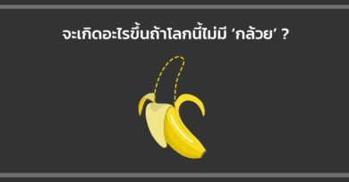 จะเกิดอะไรขึ้นถ้าโลกนี้ไม่มี ‘กล้วย’?