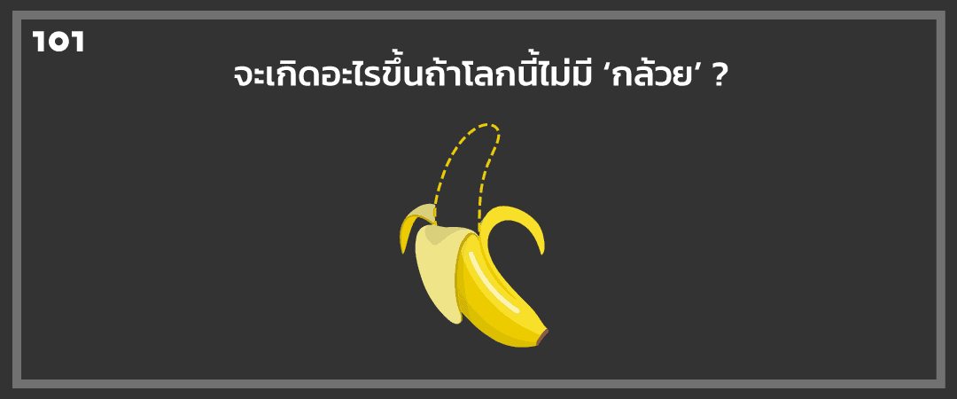 จะเกิดอะไรขึ้นถ้าโลกนี้ไม่มี ‘กล้วย’?