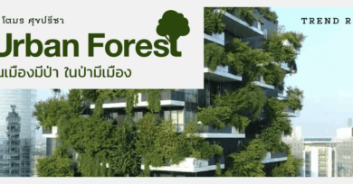 Urban Forest ในเมืองมีป่า ในป่ามีเมือง