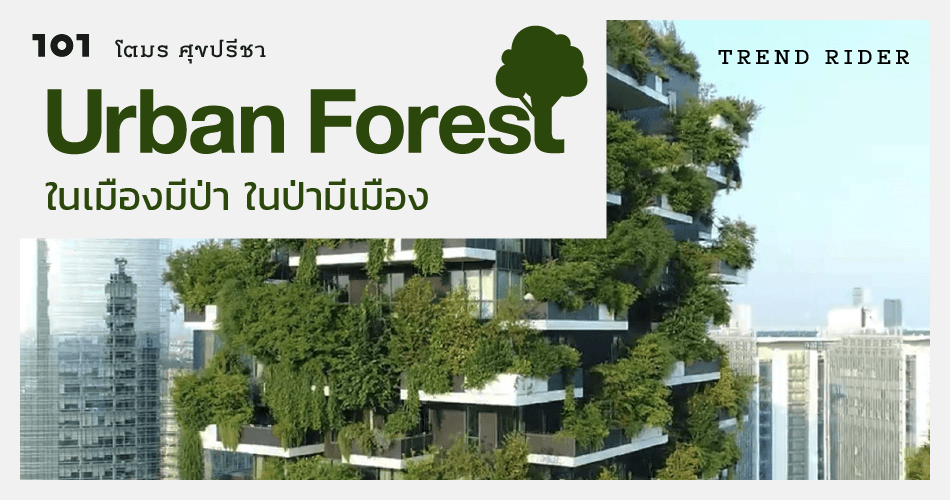 Urban Forest ในเมืองมีป่า ในป่ามีเมือง - The 101 World