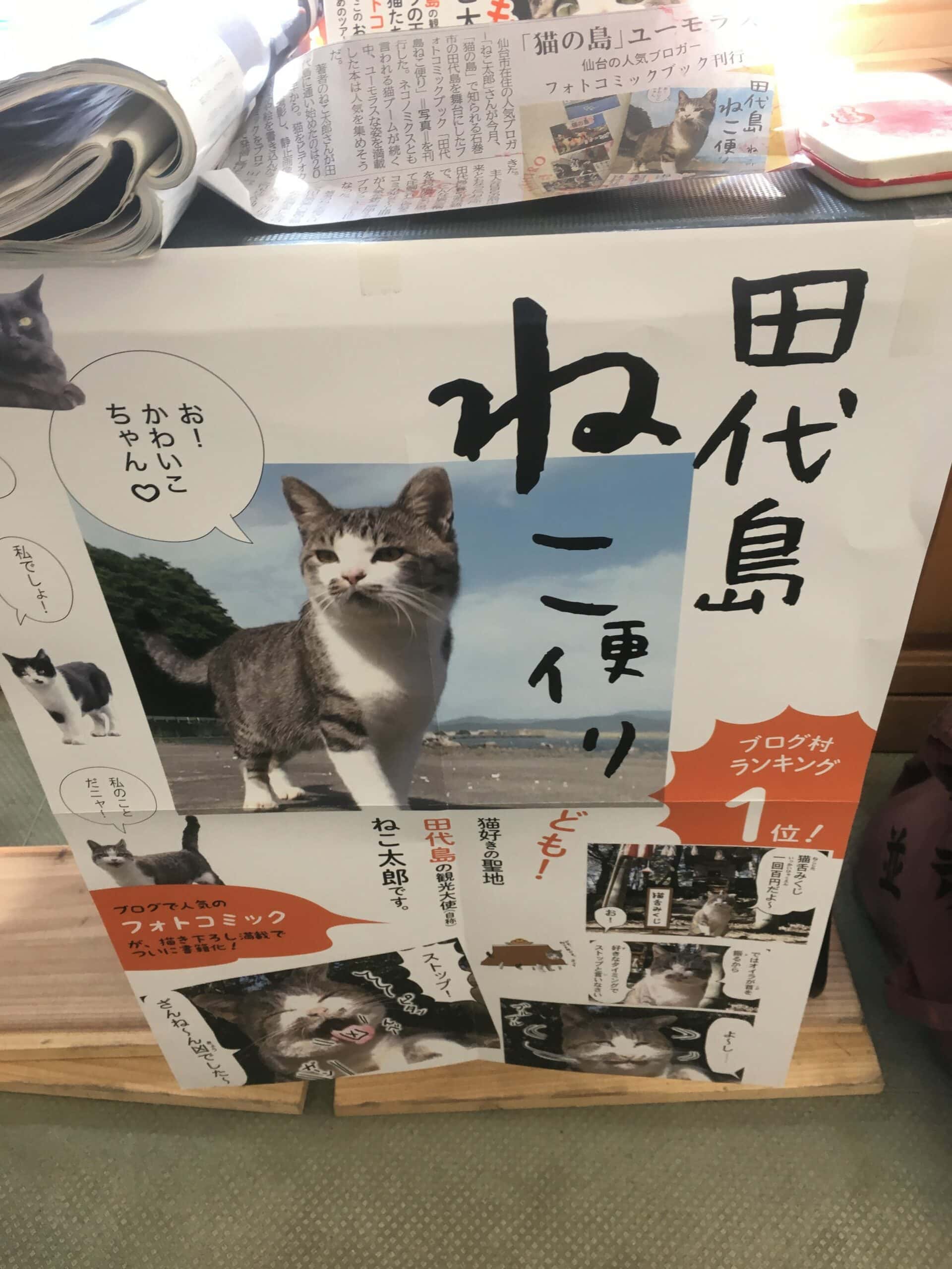 ทาชิโร่จิม่า ฟื้นเมืองด้วยมวลแมว