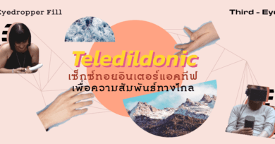 ‘Teledildonic’ เซ็กซ์ทอยอินเตอร์แอคทีฟเพื่อความสัมพันธ์ทางไกล