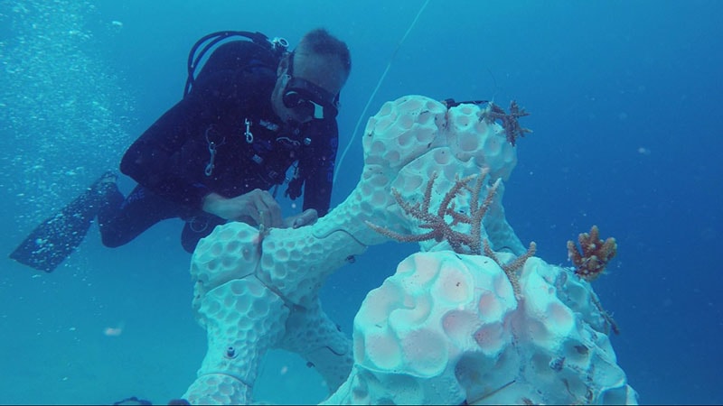 3D Printing, Sea Coral, ประการัง