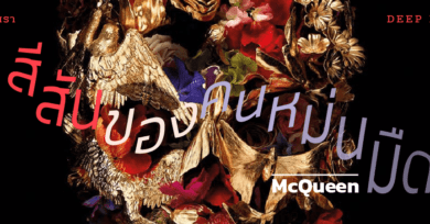 สีสันของคนหม่นมืด : McQueen