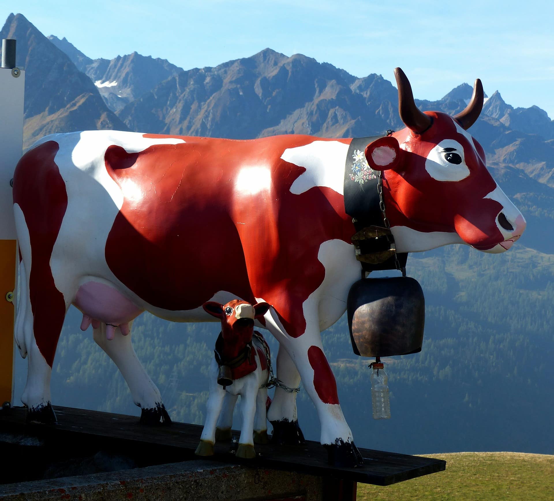 Cows are an unofficial emblem of Switzerland | CC0