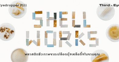 Shellworks : พลาสติกชีวภาพจากเปลือกกุ้งเหลือทิ้งในจานคุณ