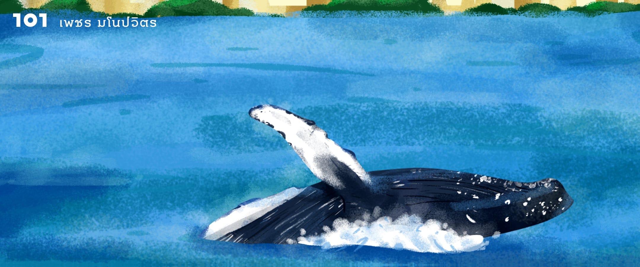วาฬคืนเมือง บทพิสูจน์ว่าการอนุรักษ์ยังไม่สายเกินไป