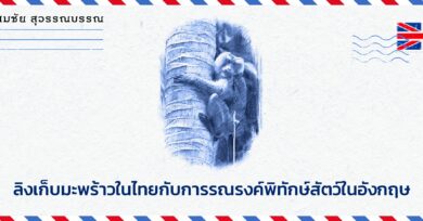 ลิงเก็บมะพร้าวในไทยกับการรณรงค์พิทักษ์สัตว์ในอังกฤษ