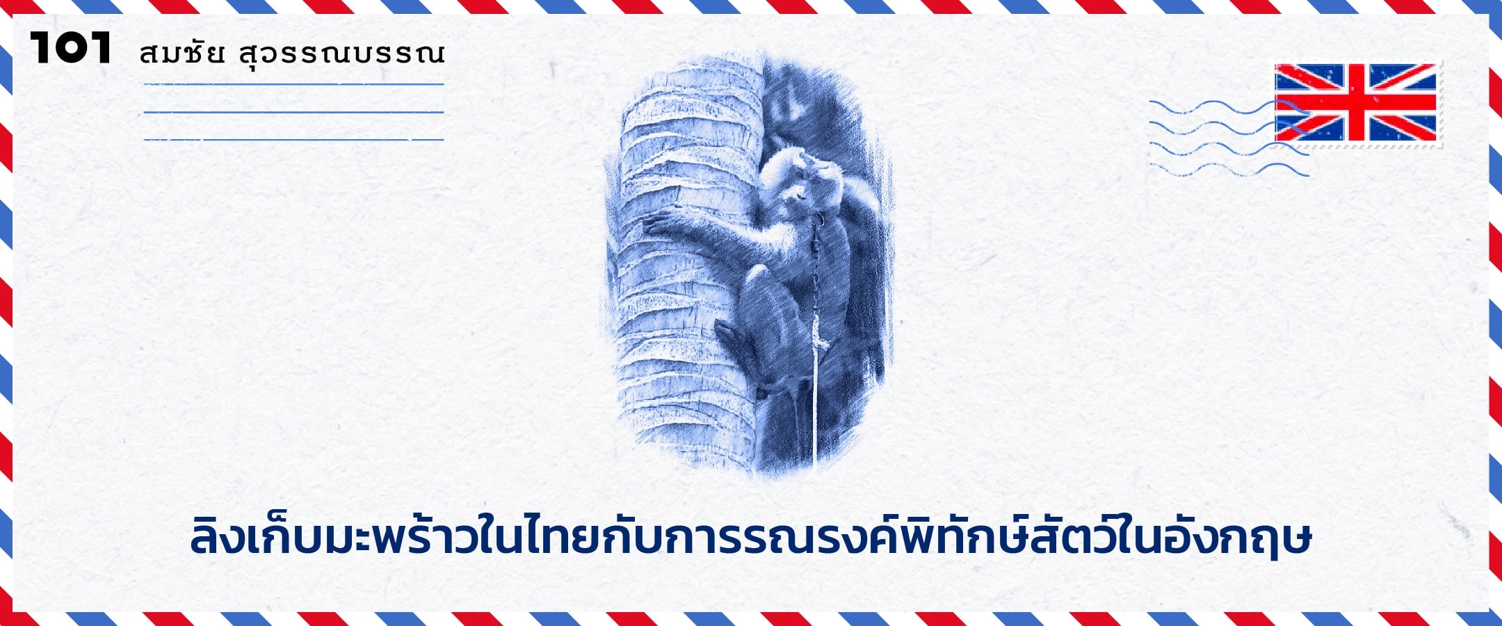 ลิงเก็บมะพร้าวในไทยกับการรณรงค์พิทักษ์สัตว์ในอังกฤษ