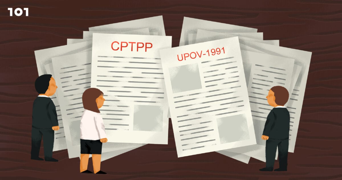 CPTPP, UPOV-1991 กับความเข้าใจที่ผิดพลาด